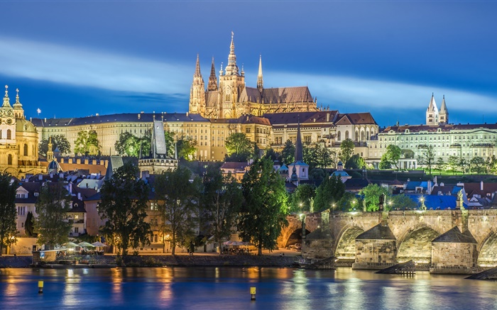 Praga, República Checa, río, puente, catedral de San Vito, la noche, las luces Fondos de pantalla, imagen