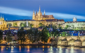 Praga, República Checa, río, puente, catedral de San Vito, la noche, las luces