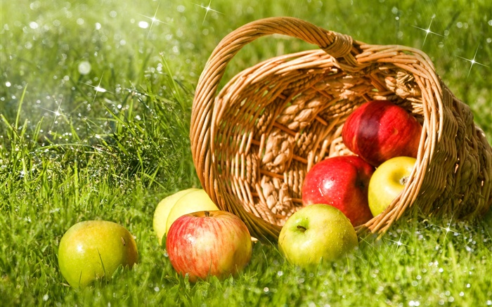 Manzanas rojas y verdes, fruta, cesta, hierba Fondos de pantalla, imagen