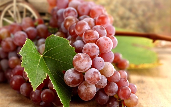 Las uvas rojas, hoja, otoño Fondos de pantalla, imagen