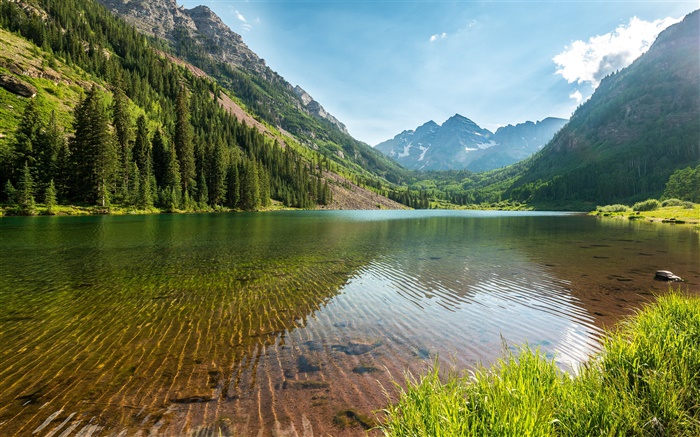 EE.UU., Colorado, paisaje, montaña, bosque, lago, árboles Fondos de pantalla, imagen