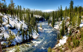 Parque Nacional de Yellowstone, EE.UU., bosque, árboles, río, nieve, invierno