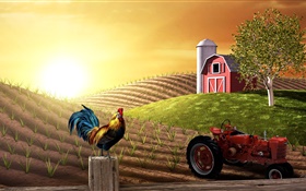 3D imágenes, granja, campo, tractor, gallo, casa, sol
