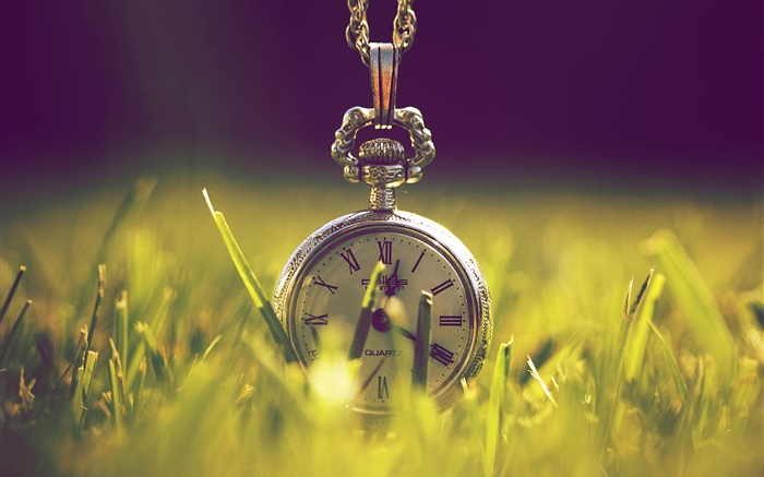 Reloj en la hierba, verde, luz del sol Fondos de pantalla, imagen
