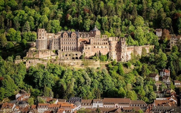 Alemania, Castillo de Heidelberg, árboles, casas Fondos de pantalla, imagen