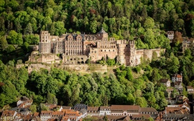 Alemania, Castillo de Heidelberg, árboles, casas