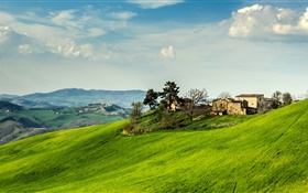 Italia, pendiente, la hierba, casa, árboles, nubes