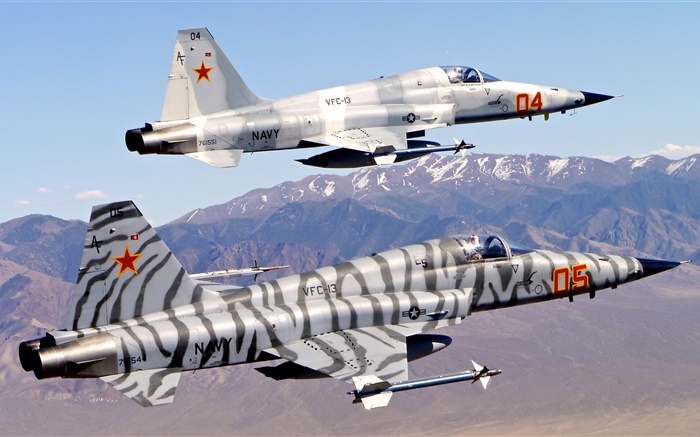 Northrop F-5 luchador por la libertad, Tiger II Fondos de pantalla, imagen