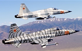 Northrop F-5 luchador por la libertad, Tiger II HD fondos de pantalla