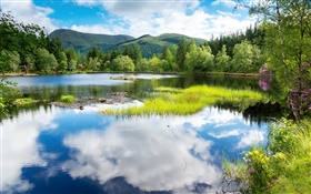 Escocia, Gran Bretaña, zonas verdes, árboles, montañas, lago, la reflexión del agua