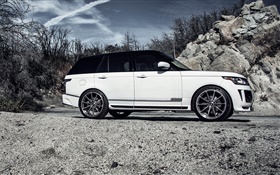 2015 Land Rover Range Rover coche blanco vista lateral
