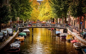 Amsterdam, Holanda, puente, río, barcos, casas, árboles, otoño