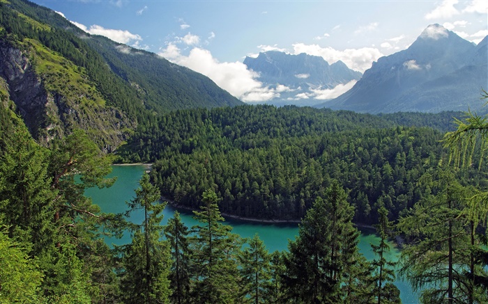 Austria, Tirol, montañas, bosques, árboles, río Fondos de pantalla, imagen