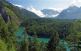 Austria, Tirol, montañas, bosques, árboles, río
