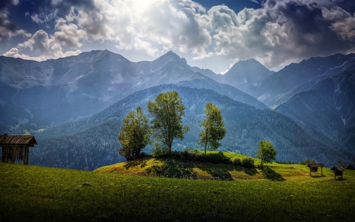 Austria, montañas, árboles, nubes, hierba Fondos de pantalla, imagen