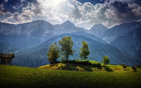 Austria, montañas, árboles, nubes, hierba