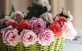 Cesta, rosas, rojas, blancas, flores de color rosa