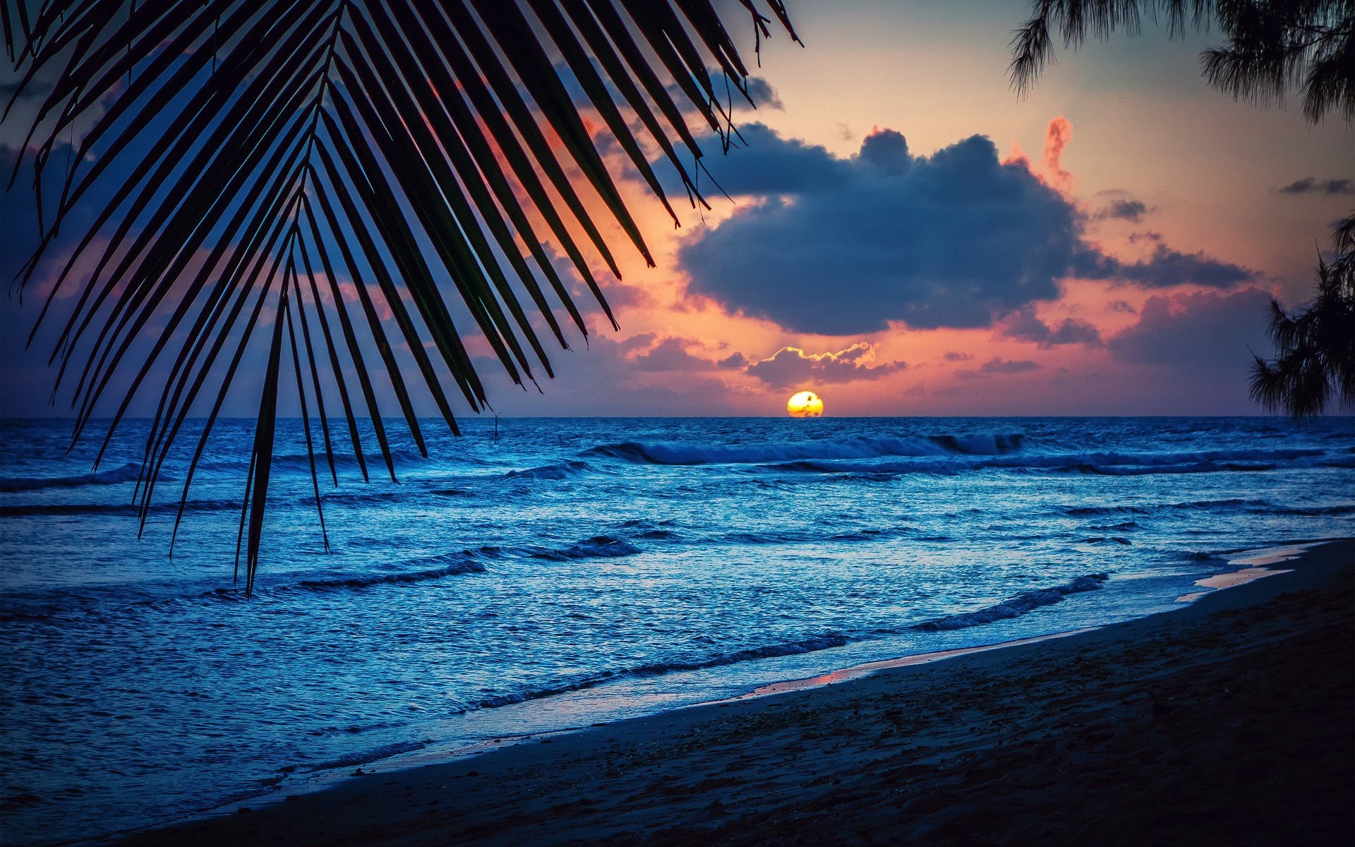 Playa Noche Puesta Del Sol Nubes Hojas El Mar Caribe Fondos De Pantalla 1920x1200 Fondos 5648