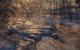 Frío invierno, árboles, río, nieve espesa HD fondos de pantalla