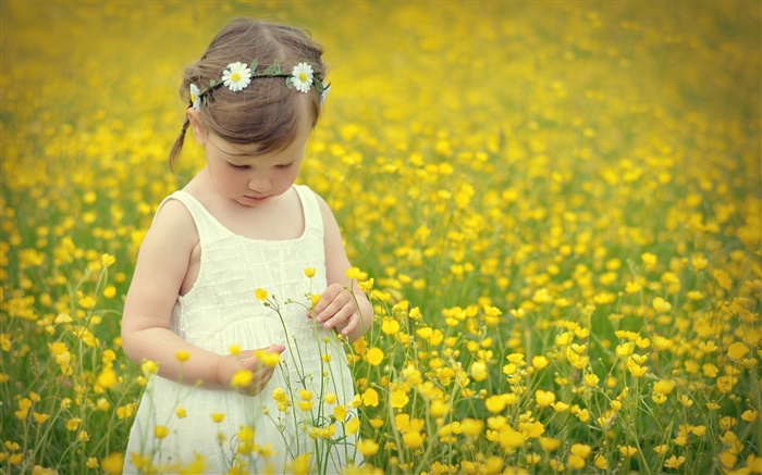 Niño lindo chica, campo de flores de canola Fondos de pantalla, imagen