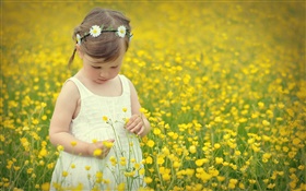 Niño lindo chica, campo de flores de canola HD fondos de pantalla