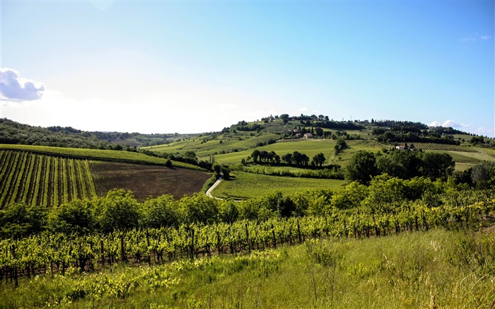 Italia, Toscana, campos, árboles, casas, colinas Fondos de pantalla, imagen