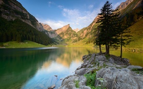 Lago, montañas, árboles, piedras, verano HD fondos de pantalla