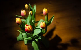 pétalos de color amarillo rojo, flores, tulipanes