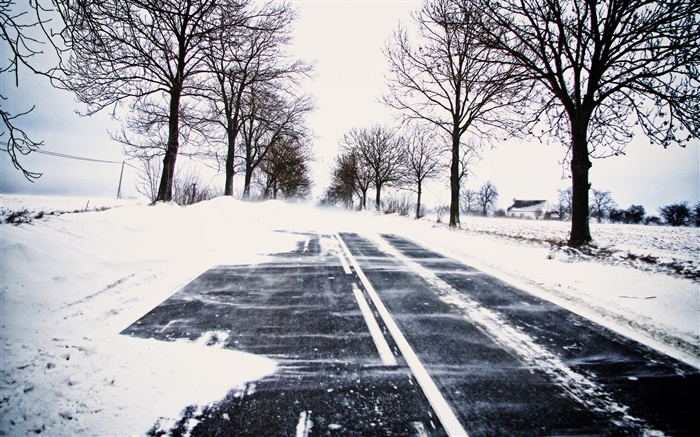 Nieve, invierno, camino, árboles, líneas eléctricas, casa Fondos de pantalla, imagen