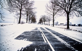 Nieve, invierno, camino, árboles, líneas eléctricas, casa HD fondos de pantalla