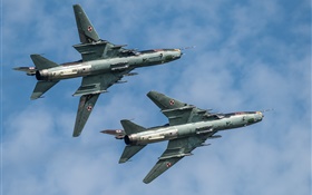 Su-22 de combate, bombardero, vuelo, cielo
