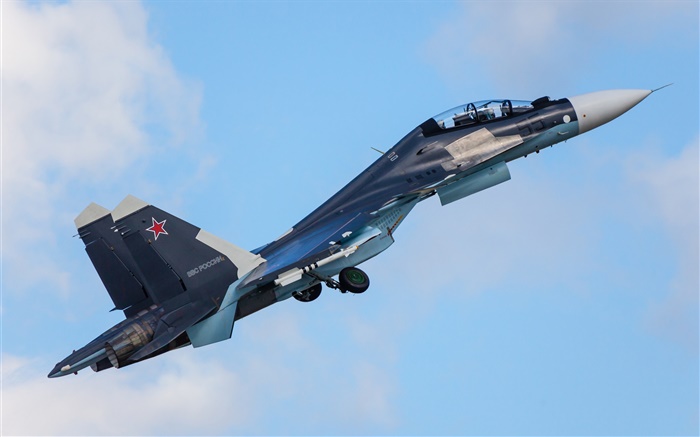 combatiente multipropósito Su-30CM Fondos de pantalla, imagen