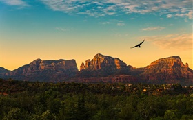 Estados Unidos, Arizona, montañas, puesta del sol, los pájaros vuelan, pueblo, atardecer