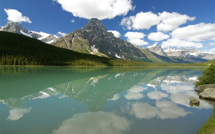 Las aves acuáticas lago, Parque Nacional Banff, Alberta, Canadá, nubes, montañas, bosque Fondos de pantalla, imagen