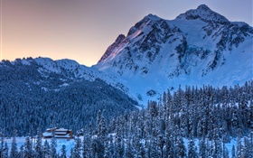 Invierno, nieve, montaña, árboles, oscuridad HD fondos de pantalla