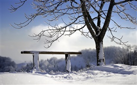 Invierno, nieve, árbol, banco