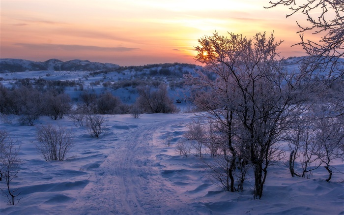 Invierno, nieve, árboles, puesta del sol, camino Fondos de pantalla, imagen