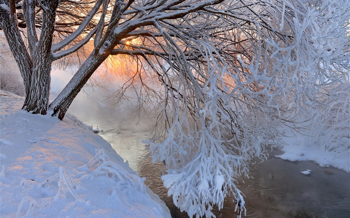 Invierno, la nieve espesa, árbol, ramas, río, puesta del sol Fondos de pantalla, imagen