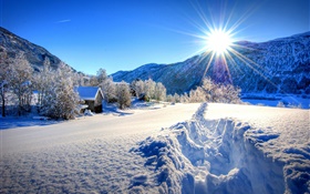 Invierno, la nieve espesa, árboles, casa, sol