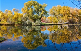 Otoño, estanque, lago, parque, árboles, reflexión del agua HD fondos de pantalla