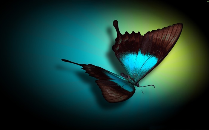 Primer de la mariposa, azul, negro, luz Fondos de pantalla, imagen