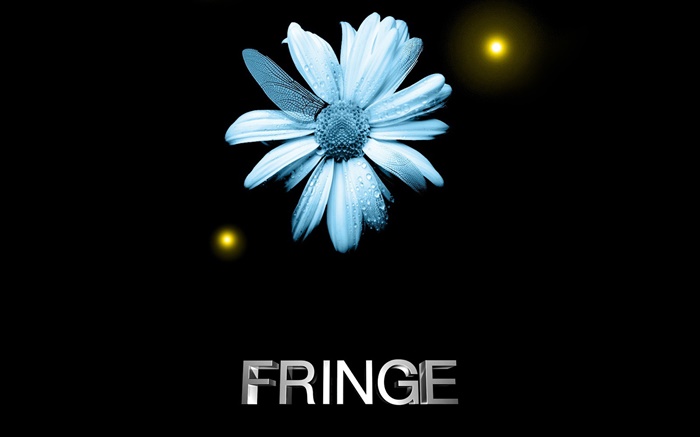 Fringe, flor, gotas de agua, ala de libélula creativa Fondos de pantalla, imagen