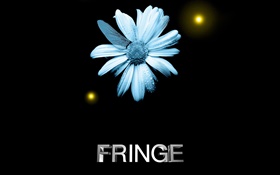 Fringe, flor, gotas de agua, ala de libélula creativa