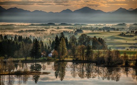 Alemania, Bayern, otoño, árboles, lago, casas, niebla, por la mañana