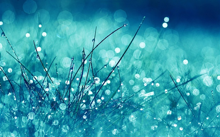 Hierba, estilo azul, lluvia, gotas de agua, el deslumbramiento Fondos de pantalla, imagen