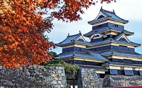 Pagoda, Japón, otoño, árboles HD fondos de pantalla