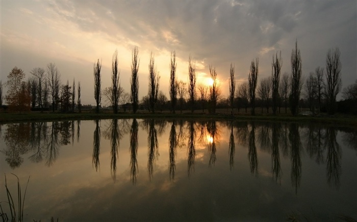 Charca, puesta del sol, árboles Fondos de pantalla, imagen