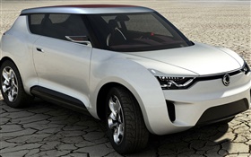 SsangYong XIV-2 concepto de coche