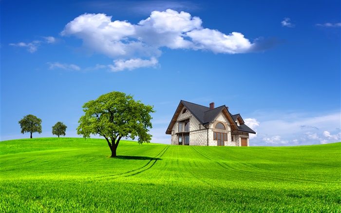 Verano, casa, árboles, campo, hierba verde Fondos de pantalla, imagen