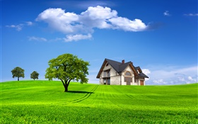Verano, casa, árboles, campo, hierba verde HD fondos de pantalla